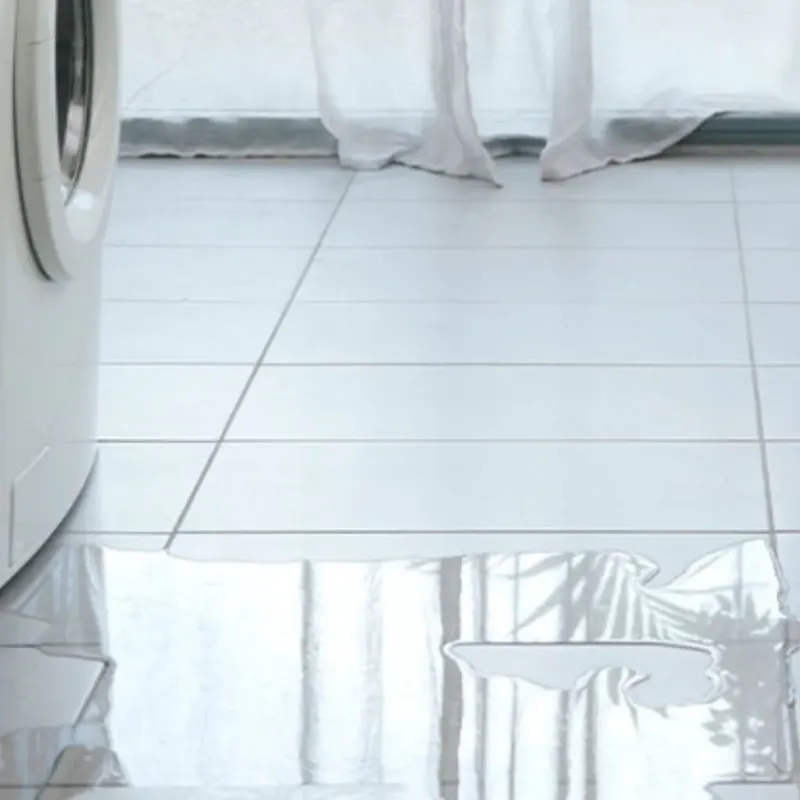 Appliance Leak Cleanup in Calhoun County, IA