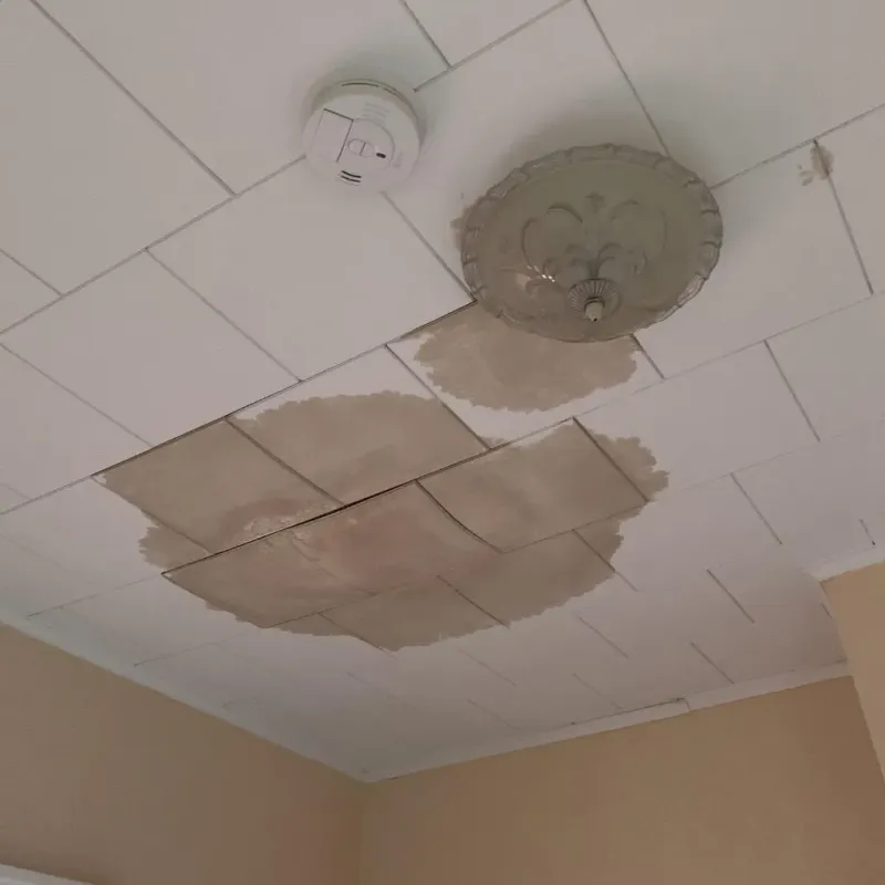 Ceiling Water Damage Repair in Calhoun County, IA