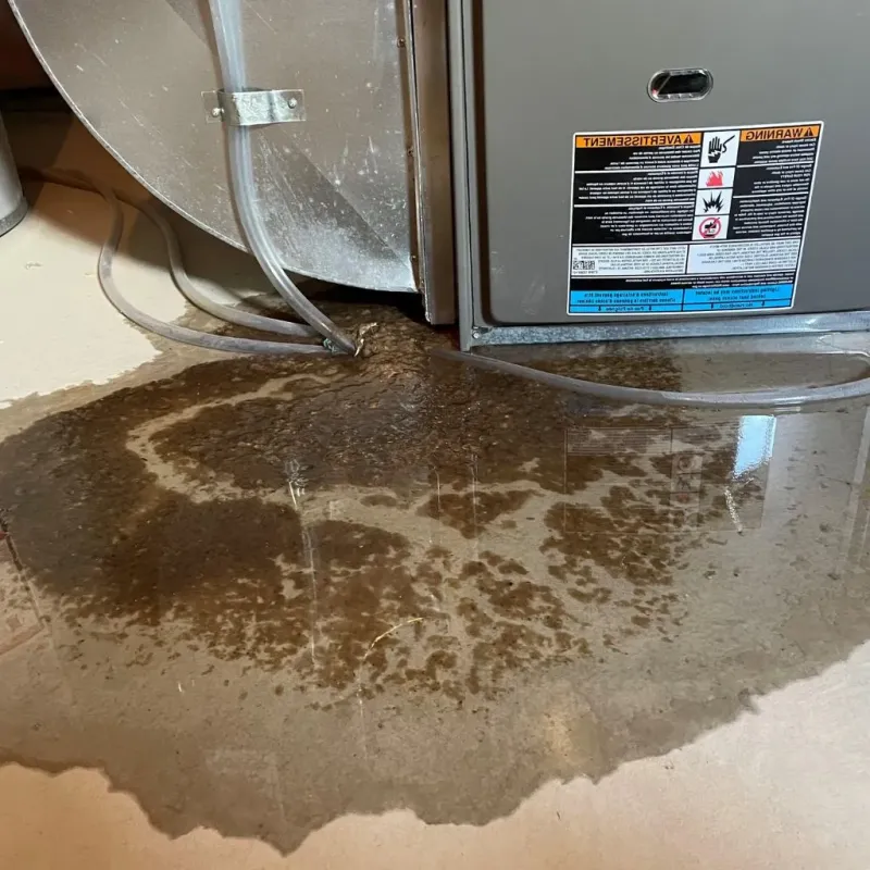Pipe Burst and Leak Restoration in Calhoun County, IA