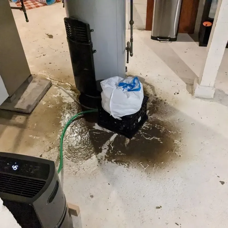 Sewage Backup Cleanup Service in Calhoun County, IA